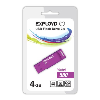 USB флэш-накопитель Exployd 4GB 560 Violet