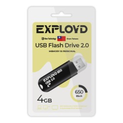 USB флэш-накопитель Exployd 4GB 650 Black 2.0