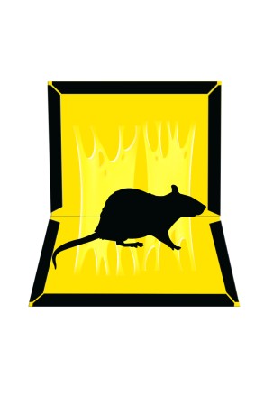 MIB /Клеевая ловушка книжка от крыс и мышей 1шт(100шт)/15.5*21см/90гр/ MIB-L-002